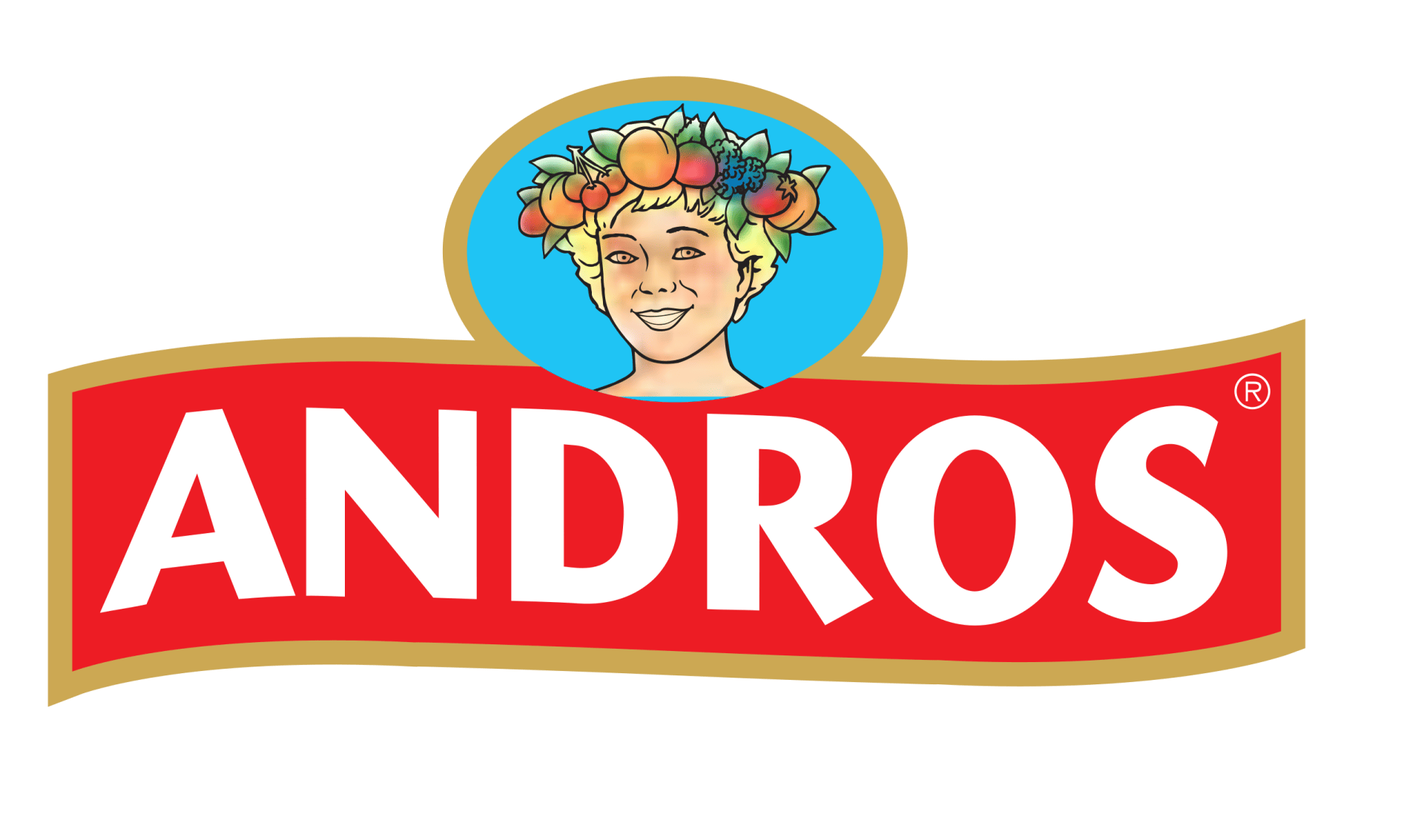 logo-andros-png-250x125-1