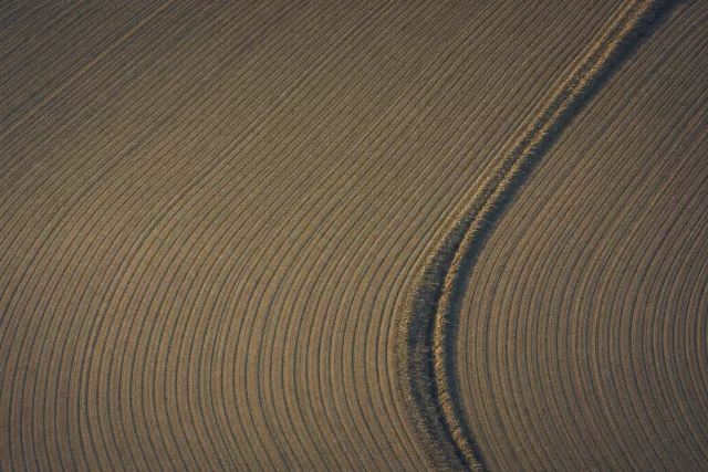 Vue aérienne de sillons réguliers dans un champ labouré, une métaphore visuelle du choix entre règle métier et IA pour ordonner les décisions de la supply chain.