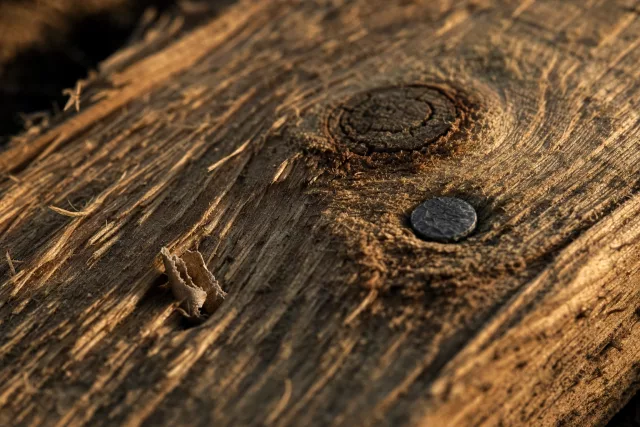 Macro d’une planche de palette en bois brut éclairée par une lumière dorée rasante, évoquant le calcul précis d’un cut-off logistique avant expédition.