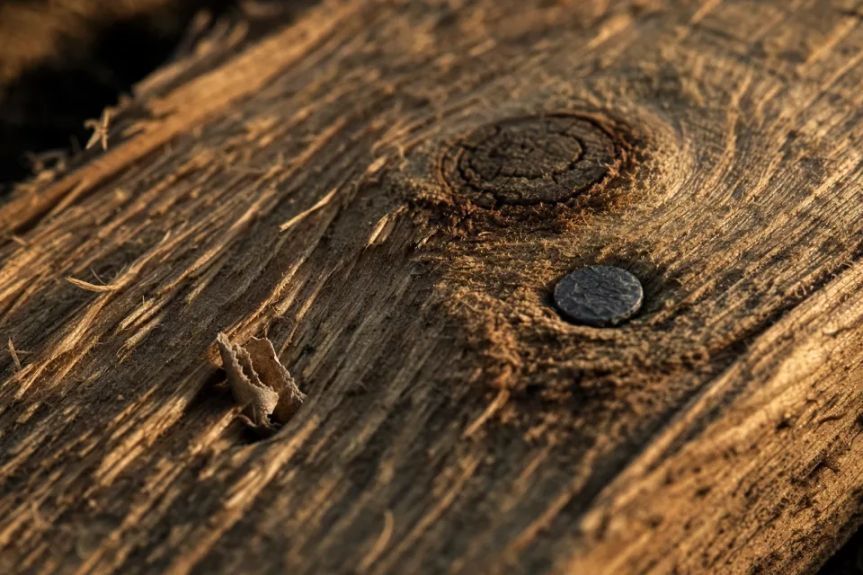 Macro d’une planche de palette en bois brut éclairée par une lumière dorée rasante, évoquant le calcul précis d’un cut-off logistique avant expédition.